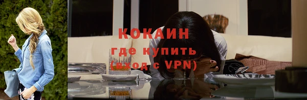 тгк Богородицк