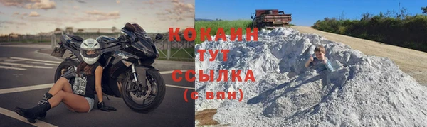 тгк Богородицк