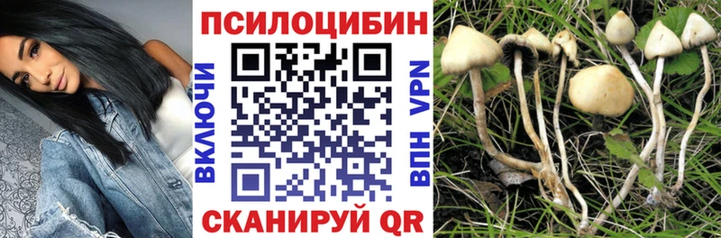 хочу   Гулькевичи  Псилоцибиновые грибы прущие грибы 